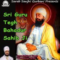 Jass Kar Lai Waheguru Da Sant Ranjeet Singh Dhadarian Wale Song Download Mp3