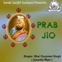 Sahib Mera Meharvan Bhai Gurpreet Singh Ji Jawaddi Wale Song Download Mp3