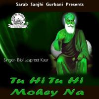 Gur Tar Taaran Hareya Bibi Jaspreet Kaur Song Download Mp3