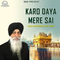 Karo Daya Mere Sai Bhai Mohinder Jeet Singh Song Download Mp3