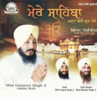 Tu Data Datar Tera Ditta Bhai Gurpreet Singh Jammu Wale Song Download Mp3