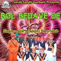 Aaye Pyar Muhabbtan Tod Ke Akal Academy Baru Sahib Song Download Mp3