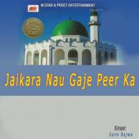 Nau Gaja Rup Rab Ka Saim Bajwa Song Download Mp3