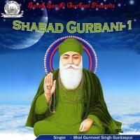 Pir Dekhan Ki Aas Bhai Gurmeet Singh Gurdaspur Song Download Mp3