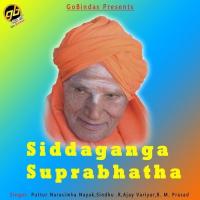 Poojeya B.M. Prasad Song Download Mp3