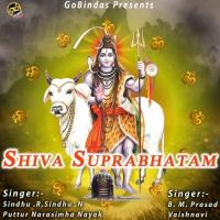 Dhakshinanda Puttur Narasimha Nayak Song Download Mp3