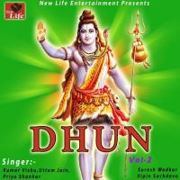 Sri Krishna Sharnam Suresh Wadkar,Uttam Jain,Priya Shankar,Kumar Vishu,Vipin Sachdeva Song Download Mp3