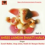 Mantr Pushpanjali Suresh Wadkar,Anup Jalota,Pandit Sri Narayan Shankar Song Download Mp3