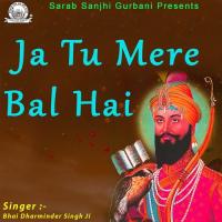 Meri Matt Bori Bhai Dharminder Singh Ji Song Download Mp3