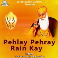 Har Ka Naam Bhai Harbans Singh Jagadhari Wale Song Download Mp3