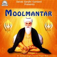 Moolmantar Dr. Sarabjit Singh Ji Sundar Nagar Wale Song Download Mp3