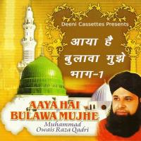 Jalwa E Yaar Idhar Bhi Muhammad Owais Raza Qadri Song Download Mp3