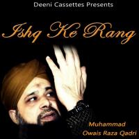 Ya Ellahi Har Jagah Teri Muhammad Owais Raza Qadri Song Download Mp3