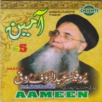 Bhejo Darood Is Zaat Per Prof. Abdul Rauf Rufi Song Download Mp3