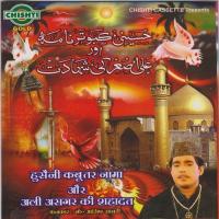 Hazrat E Shabbir Ki Jis Dam Shahadat Ho Gai Mohd. Asif Sabri Song Download Mp3