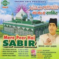 Reh Shan E Nabi Hai Mohd Asir Sabri Song Download Mp3