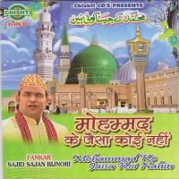 Ya Ali Sajid Sajan Bijnori Song Download Mp3