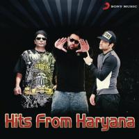 Chahat (From "Love Haryana") S.B. The Haryanvi Song Download Mp3