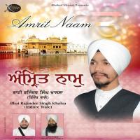 Sab Jee Tumhare Jee Bhai Rajinder Singh Khalsa Song Download Mp3