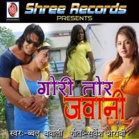 Dekhike Jawani Gori Bablu Bawali Song Download Mp3