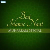 Jannat Mein Leke Jaegi (From "One And Only Alhajj Muhammad Owais Raza Qadri") Alhajj Muhammad Owais Raza Qadri Song Download Mp3