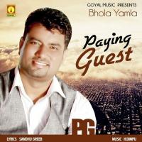 Paying Guest Bhola Yamla Song Download Mp3