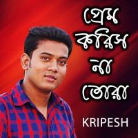 Bondhu Rupe Kripesh Song Download Mp3