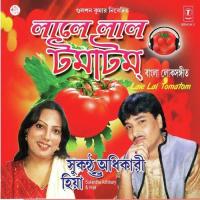 Boudi Chose Sukanta Adhikari Song Download Mp3