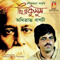 Bichitra Sadh Amitava Bagchi Song Download Mp3