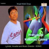 Cholo Makhi Sona Rodh Sonic Song Download Mp3