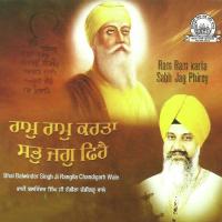 Ram Ram Karta Sabh Jag Phirey Bhai Balwinder Singh Rangila (Chandigarh Wale) Song Download Mp3