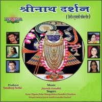 Aap Goverdhan Nath Re Anuradha Paudwal Song Download Mp3