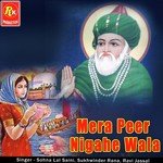 Putt Chalya Ae Sohan Laal Saini,Sukhwinder Rana,Ravi Jassal Song Download Mp3