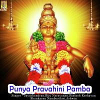 Namam Ayyappa Namam Jayachandran Song Download Mp3