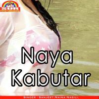 Natiya Faar Dehals Hmara Naina Nasili Song Download Mp3