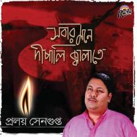 Prithibi Amare Proloy Sengupta Song Download Mp3