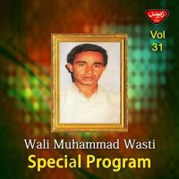 Talo Tusahb Wali Muhammad Wasti Song Download Mp3