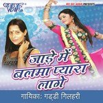 Tum Dil Ki Dhadkan Me Guddi Gilhari Song Download Mp3