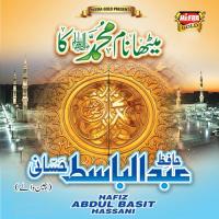 Mera Malik Mera Parwardigar Hafiz Abdul Basit Hassani Song Download Mp3