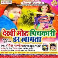 Nahi Aili Sali Prince Pandey Song Download Mp3