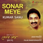 Deewana Tumi Bolo Aamake Kumar Sanu Song Download Mp3