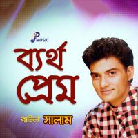 Ami Jare Dilam Sokol Baul Salam Song Download Mp3