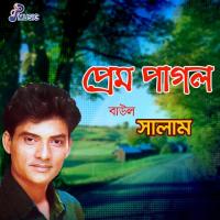 Praner Bondhu Bujhi Baul Salam Song Download Mp3