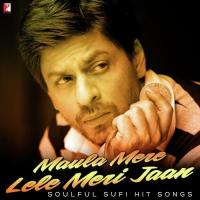 Maula Mere Lele Meri Jaan Krishna,Salim Merchant Song Download Mp3