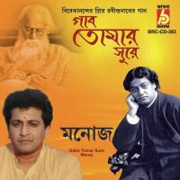 Songsoytimir Majhe Na Heri Manoj Song Download Mp3