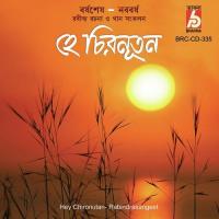 Amader Naboborsho Amitava Bagchi Song Download Mp3