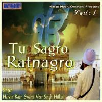 Birha Birha Aakhiye Harvin Kaur,Swami Veer Singh Hitkari Song Download Mp3