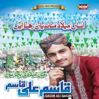 Maqam Jo Bhi Mila Hai Qasim Ali Qasim Song Download Mp3