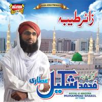 Aey Nanaye Hussain Muhammad Shakil Attari Song Download Mp3