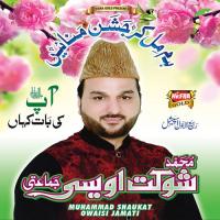 Mausam E Gul Ki Hawa Se Muhammad Shaukat Owaisi Jamati Song Download Mp3